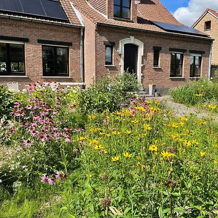 B&B Den Biesthoek Grimbergen Dış mekan fotoğraf