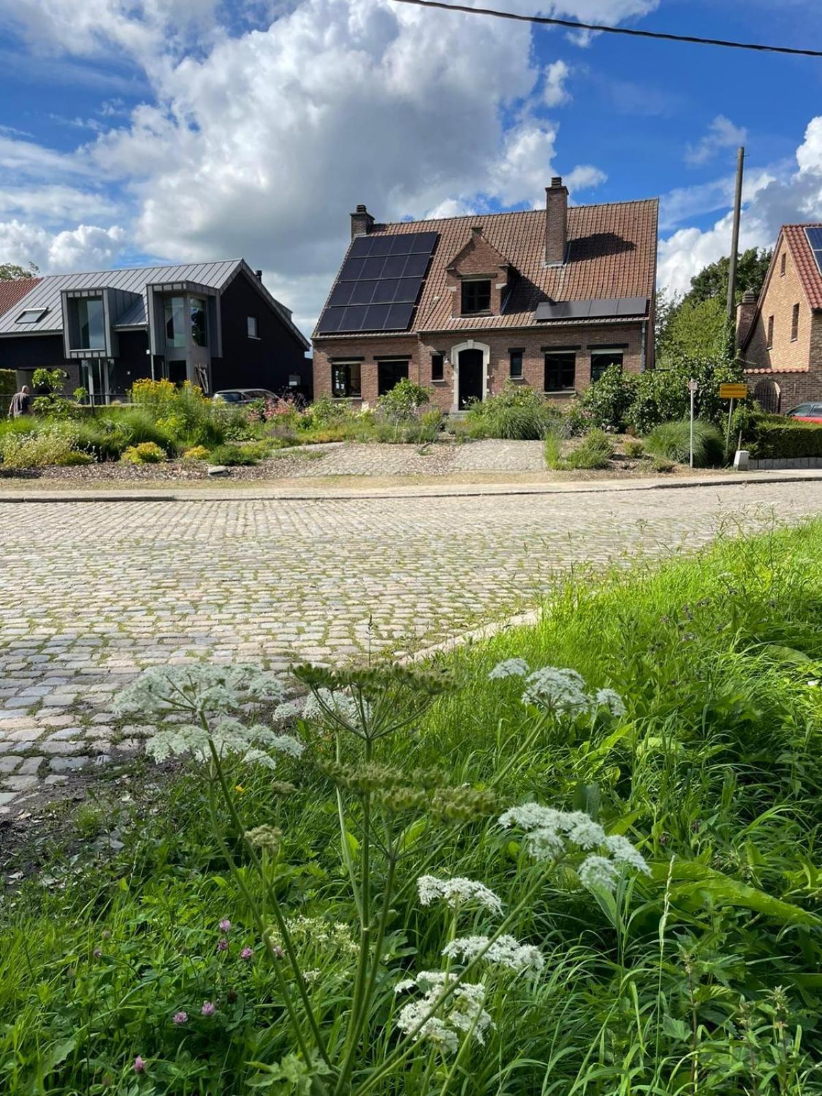 B&B Den Biesthoek Grimbergen Dış mekan fotoğraf