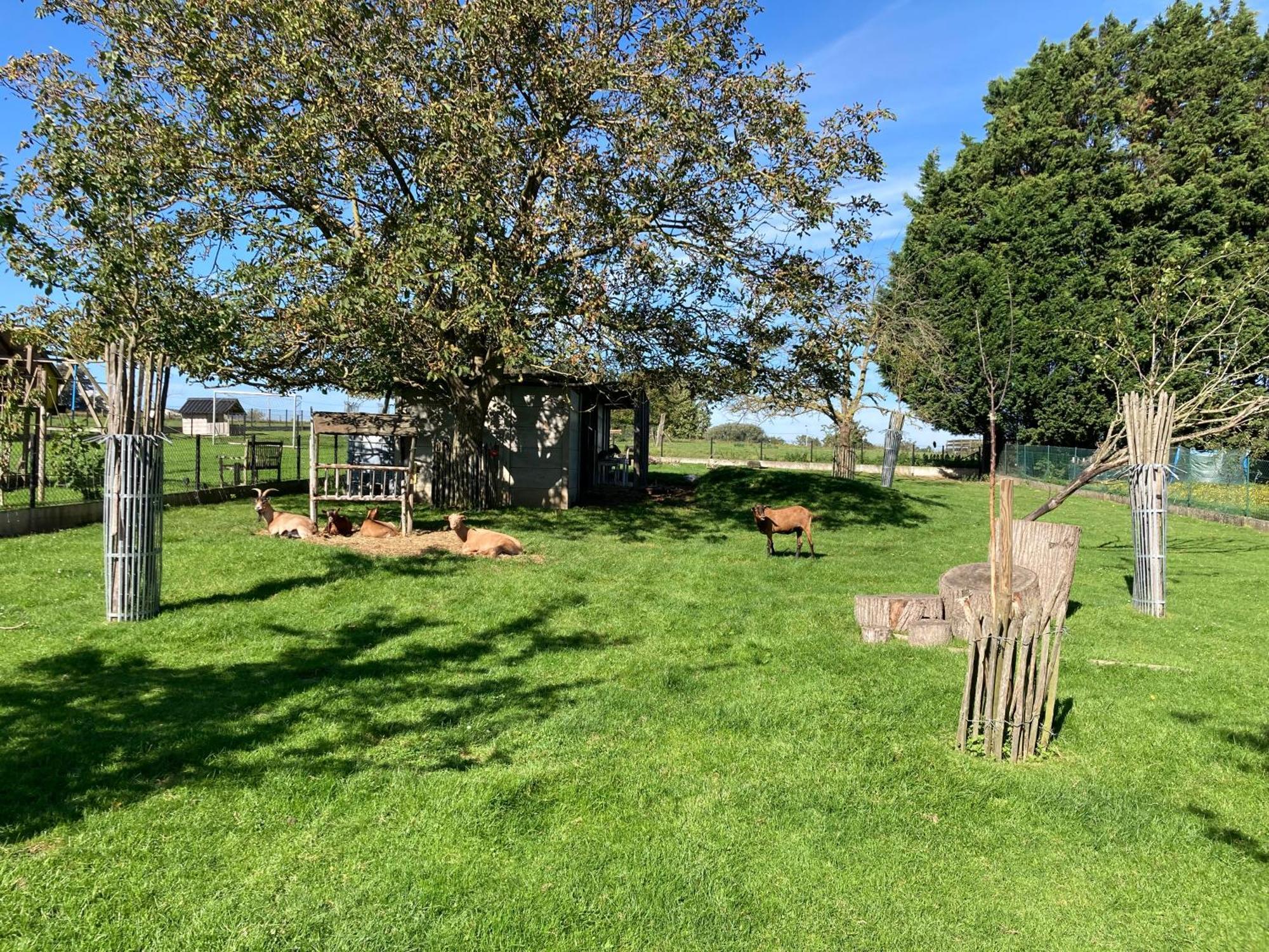 B&B Den Biesthoek Grimbergen Dış mekan fotoğraf
